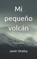 Mi pequeño volcán 1701904497 Book Cover