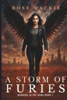 A Storm of Furies (Burning in the Dark) 0645400262 Book Cover