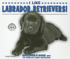 I Like Labrador Retrievers! 0766038483 Book Cover