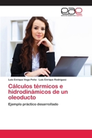 Calculos Termicos E Hidrodinamicos de Un Oleoducto 365907098X Book Cover