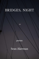 Bridges, Night 1639804714 Book Cover
