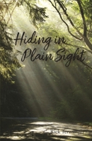 Hiding in Plain Sight B0G2BBKZLX Book Cover