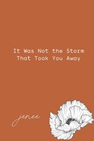 It Was Not The storm That Took You Away B095G5K1DF Book Cover