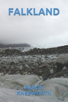 FALKLAND (Portuguese Edition) B0863TQ1M7 Book Cover