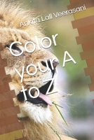 Learn ABC with Colors B09CGCW4RC Book Cover