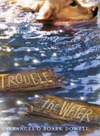 Trouble the Water 1481424645 Book Cover