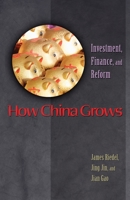 How China Grows: Investment, Finance, and Reform 0691248060 Book Cover