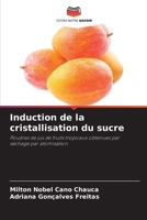 Induction de la cristallisation du sucre (French Edition) 6207229274 Book Cover