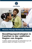 Bewältigungsstrategien in Familien in der südlichen Region von Angola 6203653519 Book Cover