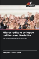 Microcredito e sviluppo dell'imprenditorialità (Italian Edition) 6209446523 Book Cover