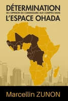 Détermination de l’opinion du commissaire aux comptes dans l’espace OHADA (French Edition) 1917916507 Book Cover