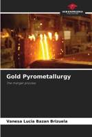 Gold Pyrometallurgy 6208251893 Book Cover