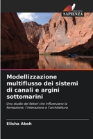 Modellizzazione multiflusso dei sistemi di canali e argini sottomarini (Italian Edition) 6630292952 Book Cover