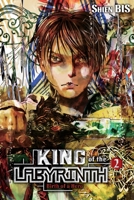 King of the Labyrinth, Vol. 2 (light novel): Birth of a Hero (Volume 2) (King of the Labyrinth null Book Cover