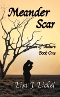 Meander Scar B0F9HZ47H3 Book Cover