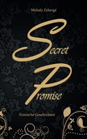 Secret Promise: Erotische Geschichten (German Edition) 3769338413 Book Cover