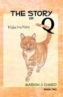 The Story of Q - Misha Goes Missing 0692810242 Book Cover
