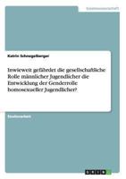 Inwieweit gef�hrdet die gesellschaftliche Rolle m�nnlicher Jugendlicher die Entwicklung der Genderrolle homosexueller Jugendlicher? 3656517193 Book Cover