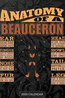 Anatomy Of A Beauceron: Beauceron 2020 Calendar - Customized Gift For Beauceron Dog Owner 1679687972 Book Cover