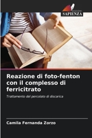 Reazione di foto-fenton con il complesso di ferricitrato 6207266048 Book Cover