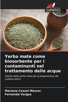 Yerba mate come biosorbente per i contaminanti nel trattamento delle acque (Italian Edition) 620789619X Book Cover