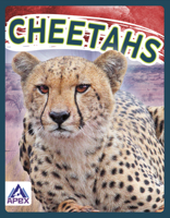 Cheetahs 163738064X Book Cover