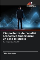L'importanza dell'analisi economico-finanziaria: un caso di studio 6206239632 Book Cover