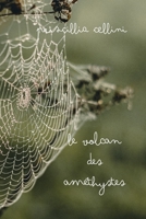 Le volcan des améthystes B09HFXFR76 Book Cover