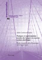 Pratiques et représentations sociales des langues en contexte scolaire plurilingue; Étude comparée de la Dominique et de Sainte-Lucie 3034316801 Book Cover