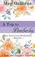 A Trip to Pemberley B09T5S3Y8Q Book Cover