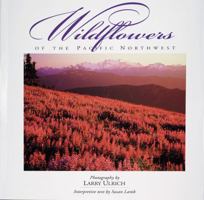 Wildflowers of the Pacific Northwest 0944197582 Book Cover
