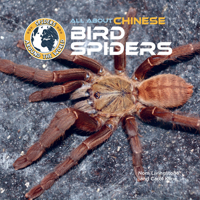 All about Chinese Bird Spiders (Spiders Around the World: Asia) 1680208845 Book Cover