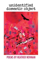 unidentified domestic object B0GM6VCJRC Book Cover