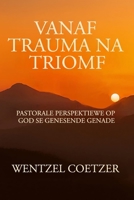 Vanaf Trauma na Triomf: Pastorale Perspektiewe op God se Genesende Genade (Afrikaans Edition) B0G83552W6 Book Cover