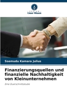 Finanzierungsquellen und finanzielle Nachhaltigkeit von Kleinunternehmen 6207302737 Book Cover