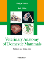 Veterinary Anatomy of Domestic Mammals: Textbook and Colour Atlas 3794528336 Book Cover