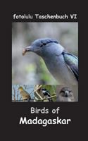 Birds of Madagaskar 374312520X Book Cover