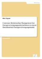 Customer Relationship Management Bei Energieversorgungsunternehmen in Einem Liberalisierten Energieversorgungsmarkt 3838650700 Book Cover