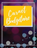 Carnet Budg�taire: Carnet De D�pense/Recettes et Gestion du Portefeuille Pour Toute Une Ann�e Dim A4 167751471X Book Cover