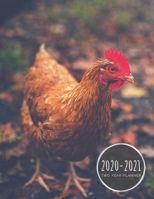 2020-2021 Two Year Planner: Chicken Planner January 1, 2020 to December 31, 2021 Weekly & Monthly Planner + Calendar Views 2 Year Calendar 24 Month Agenda Planner Gift For Hen Lovers 1679119354 Book Cover