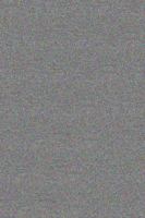 Leather Nazis 1935509527 Book Cover