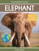 Elephant : Fascinating Animal Facts for Kids 1647904552 Book Cover