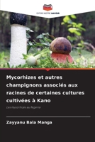 Mycorhizes et autres champignons associés aux racines de certaines cultures cultivées à Kano: Les mycorhizes au Nigeria 6205906066 Book Cover