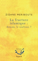 La fracture islamique: demain le soufisme ? 2213619085 Book Cover