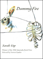Dummy Fire 097549905X Book Cover