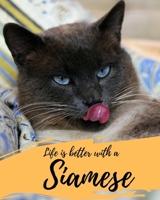 Life is Better with a Siamese: Siamese Cat Gifts for Owners and Lovers - Cat Subject Notebook Blank Lined College Ruled, 100 pages 1710057726 Book Cover