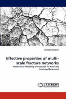 Effective properties of multi-scale fracture networks: Hierarchical Modeling of Fractures for Naturally Fractured Reservoirs 3843382875 Book Cover