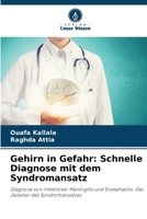 Gehirn in Gefahr: Schnelle Diagnose mit dem Syndromansatz 620913159X Book Cover