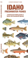 Idaho Freshwater Fishes: A Waterproof Folding Guide to Familiar Species 1620055643 Book Cover
