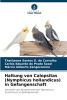 Haltung von Calopsitas (Nymphicus hollandicus) in Gefangenschaft (German Edition) 6207872312 Book Cover
